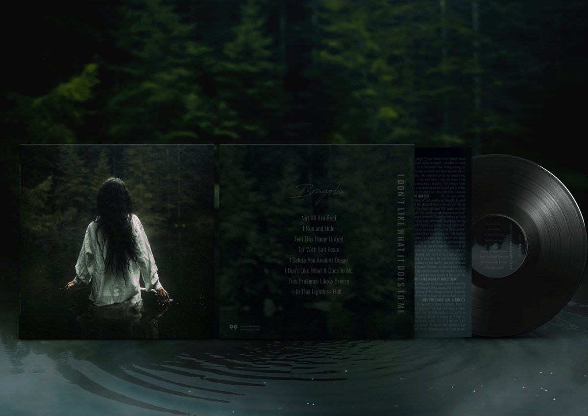 Bragolin - I Don't Like What It Does To Me - Image 4