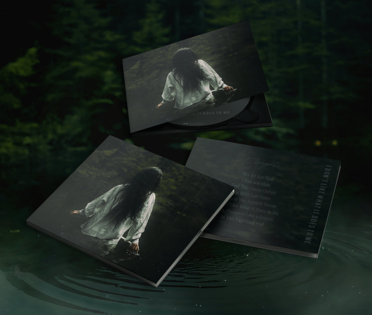 Bragolin - I Don't Like What It Does To Me - Image 2